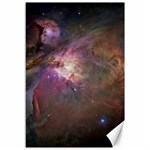 Orion Nebula Canvas 12  x 18  