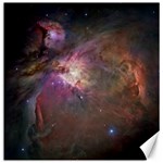 Orion Nebula Canvas 20  x 20  