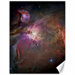 Orion Nebula Canvas 18  x 24  