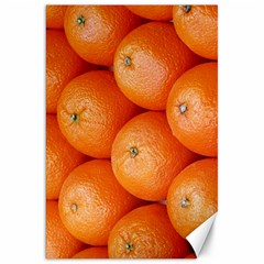 Orange Fruit Canvas 20  X 30   by Simbadda
