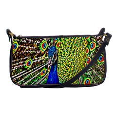 Graphic Painting Of A Peacock Shoulder Clutch Bags