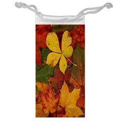 Colorful Autumn Leaves Leaf Background Jewelry Bag by Amaryn4rt