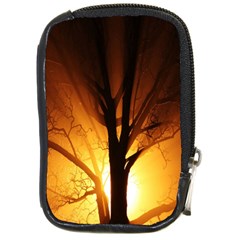 Rays Of Light Tree In Fog At Night Compact Camera Cases by Amaryn4rt