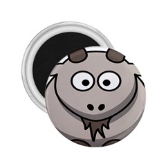 Goat Sheep Animals Baby Head Small Kid Girl Faces Face 2 25  Magnets