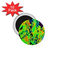 Bow Canopy Height Satelite Map 1 75  Magnets (10 Pack) 