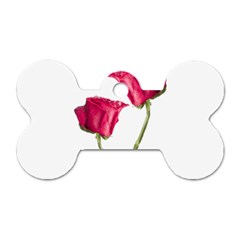 Red Roses Photo Dog Tag Bone (two Sides) by dflcprints