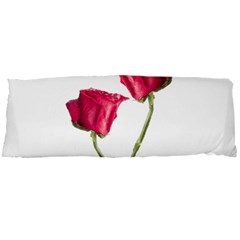 Red Roses Photo Body Pillow Case Dakimakura (two Sides) by dflcprints