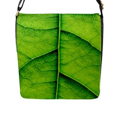 Avocado Leaf Flap Messenger Bag (l)  by DeneWestUK