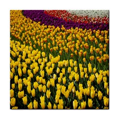 Colorful Tulips In Keukenhof Gardens Wallpaper Tile Coasters by Simbadda
