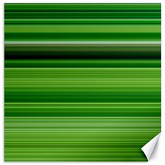 Horizontal Stripes Line Green Canvas 12  X 12   by Mariart