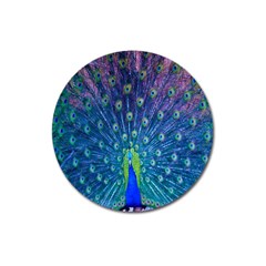 Amazing Peacock Magnet 3  (round) by Simbadda