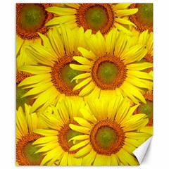 Sunflowers Background Wallpaper Pattern Canvas 8  X 10  by Nexatart