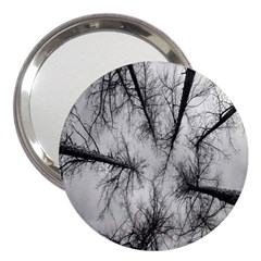 Trees Without Leaves 3  Handbag Mirrors by Nexatart