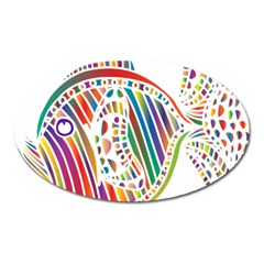 Colorful Fish Animals Rainbow Oval Magnet