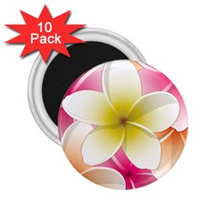 Frangipani Flower Floral White Pink Yellow 2 25  Magnets (10 Pack) 