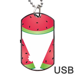 Watermelon Slice Red Green Fruite Dog Tag Usb Flash (two Sides)