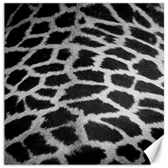 Black And White Giraffe Skin Pattern Canvas 16  X 16   by Nexatart