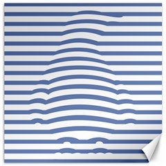 Animals Illusion Penguin Line Blue White Canvas 12  X 12  
