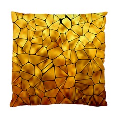 Gold Standard Cushion Case (one Side)