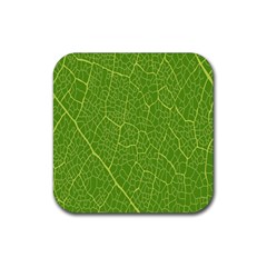 Green Leaf Line Rubber Coaster (square) 