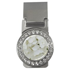 Hydrangea Flowers Blossom White Floral Photography Elegant Bridal Chic  Money Clips (cz)  by yoursparklingshop