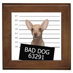 Bad dog Framed Tiles