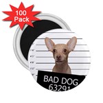 Bad dog 2.25  Magnets (100 pack) 