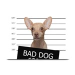 Bad dog Plate Mats