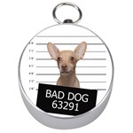Bad dog Silver Compasses