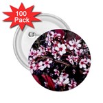 Morning Sunrise 2.25  Buttons (100 pack) 