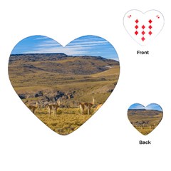 Group Of Vicunas At Patagonian Landscape, Argentina Playing Cards (heart)  by dflcprints