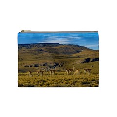 Group Of Vicunas At Patagonian Landscape, Argentina Cosmetic Bag (medium)  by dflcprints