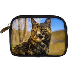 Adult Wild Cat Sitting And Watching Digital Camera Cases by dflcprints