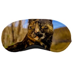 Adult Wild Cat Sitting And Watching Sleeping Masks by dflcprints