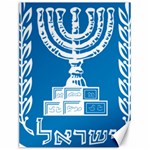 Emblem of Israel Canvas 12  x 16  
