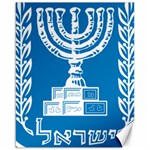 Emblem of Israel Canvas 16  x 20  