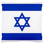 Flag of Israel Large Cushion Case (Two Sides) Back