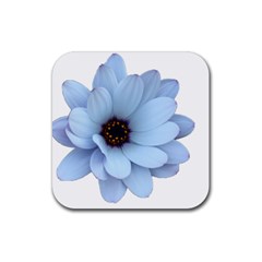 Daisy Flower Floral Plant Summer Rubber Coaster (square)  by Nexatart