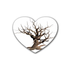 Tree Isolated Dead Plant Weathered Rubber Coaster (heart)  by Nexatart