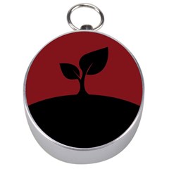 Plant Last Plant Red Nature Last Silver Compasses by Nexatart