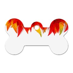 Abstract Autumn Background Bright Dog Tag Bone (two Sides) by Nexatart