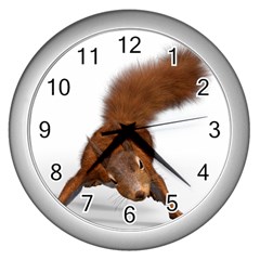 Squirrel Wild Animal Animal World Wall Clocks (silver)  by Nexatart