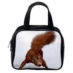 Squirrel Wild Animal Animal World Classic Handbags (one Side) by Nexatart