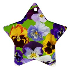 Spring Pansy Blossom Bloom Plant Star Ornament (two Sides) by Nexatart