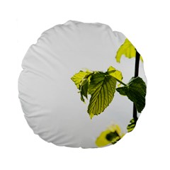 Leaves Nature Standard 15  Premium Flano Round Cushions by Nexatart