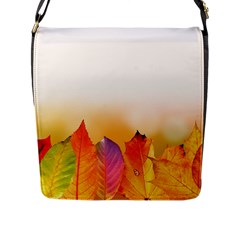 Autumn Leaves Colorful Fall Foliage Flap Messenger Bag (l)  by Nexatart