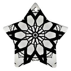 Pattern Abstract Fractal Star Ornament (two Sides) by Nexatart