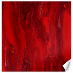 Stone Red Volcano Canvas 20  X 20  