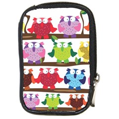 Funny Owls Sitting On A Branch Pattern Postcard Rainbow Compact Camera Cases