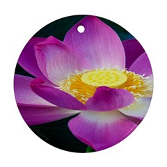 Pink Lotus Flower Round Ornament (two Sides) by BangZart